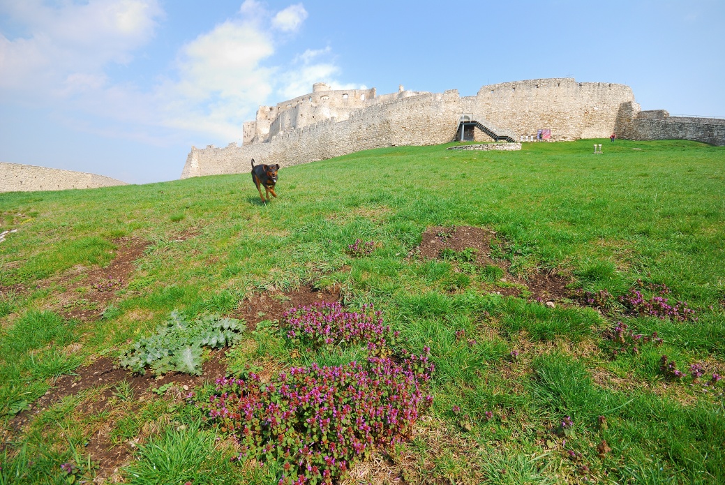 95-spišhrad.jpg